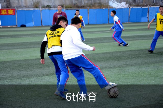 关于6t体育
